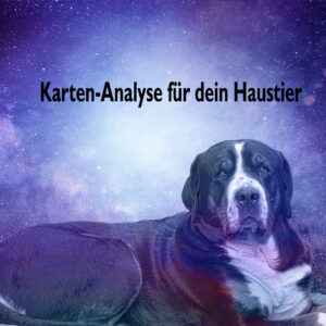 Kartenlegung für dein Haustier